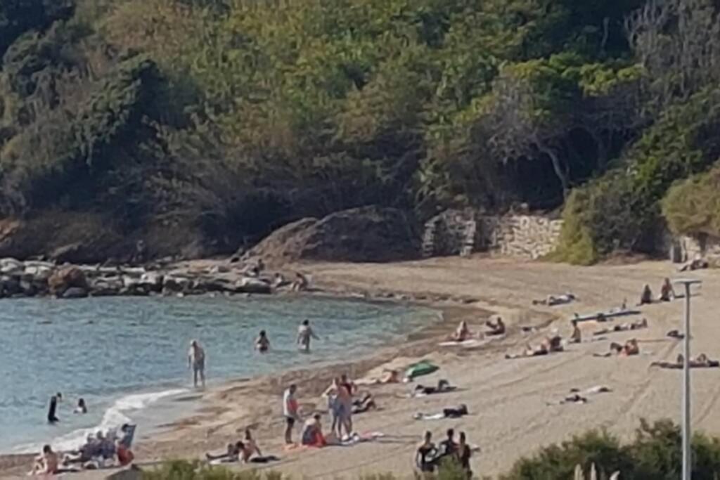T2 Magnifique Vue Mer Panoramique Six-Fours-les-Plages Kültér fotó
